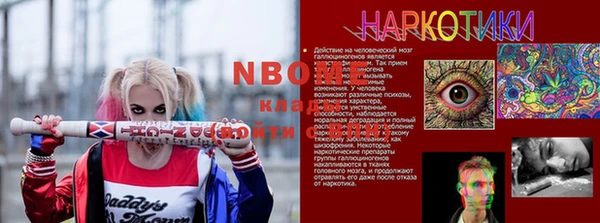 хмурый Алексин