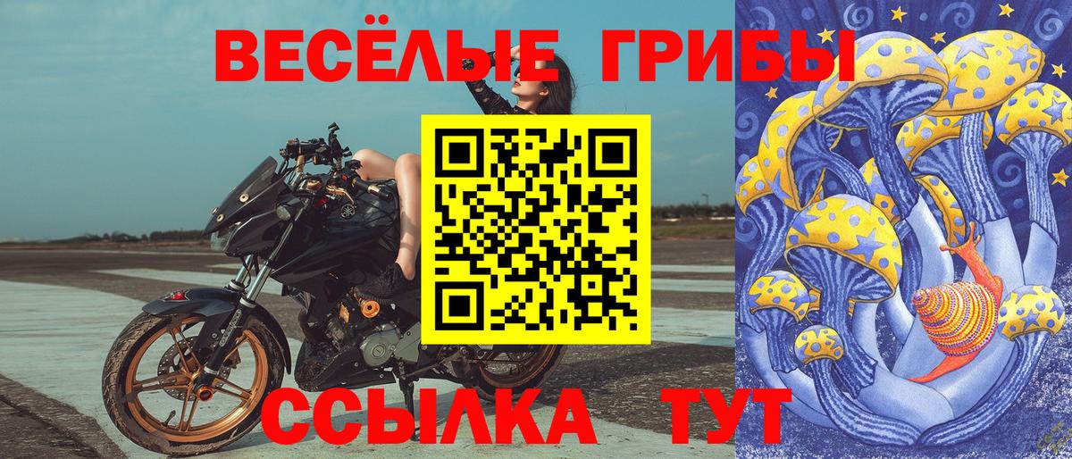 цены наркотик  Вход с VPN  Тамбов  Псилоцибиновые грибы Magic Shrooms 